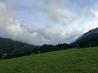 IMG_7411.HEIC_compressed.JPEG